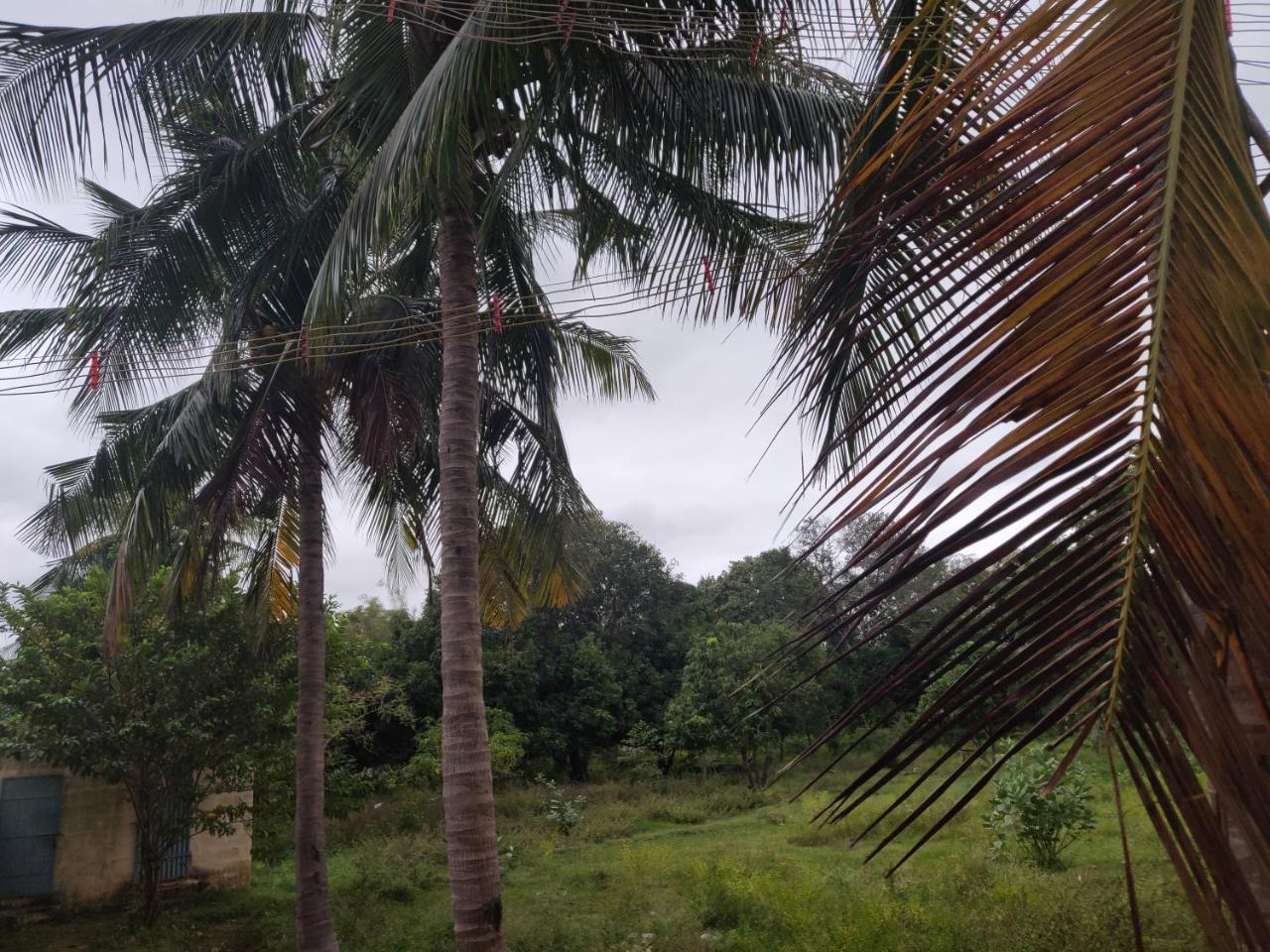 Srb Residency Hotell Tiruvannāmalai Exteriör bild